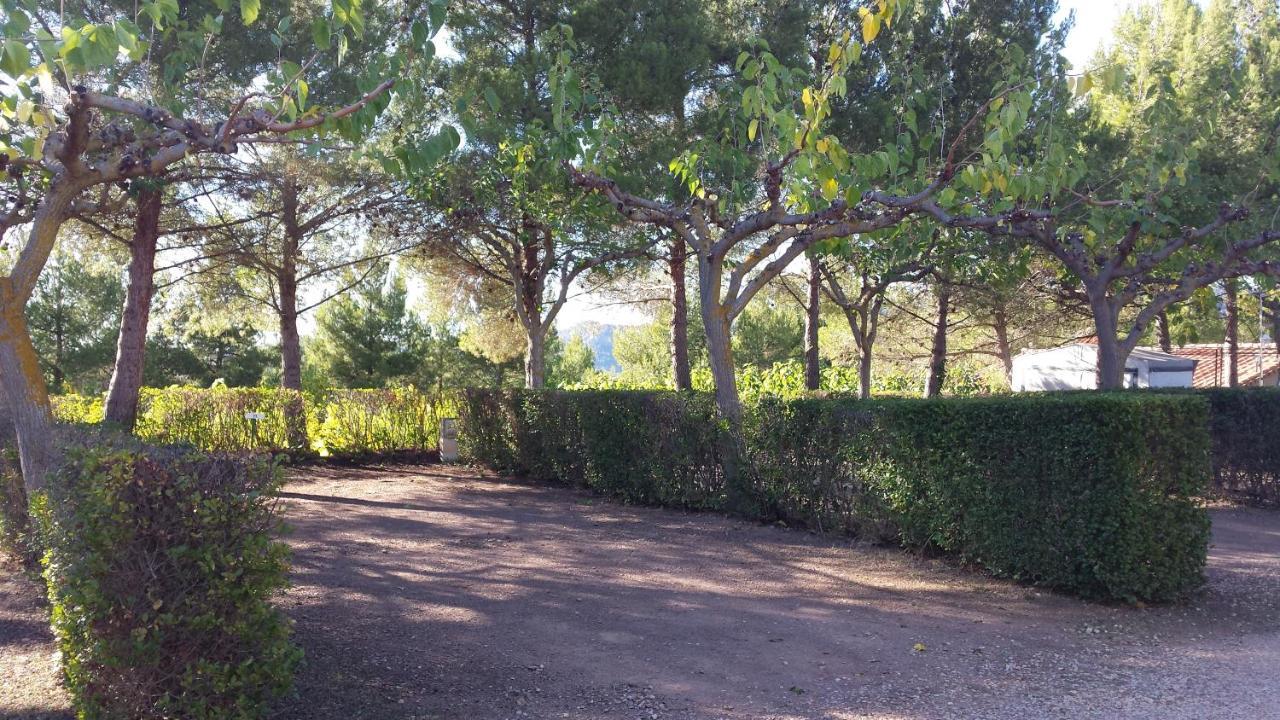 Montsant Park Camping & Bungalow Ulldemolins ภายนอก รูปภาพ